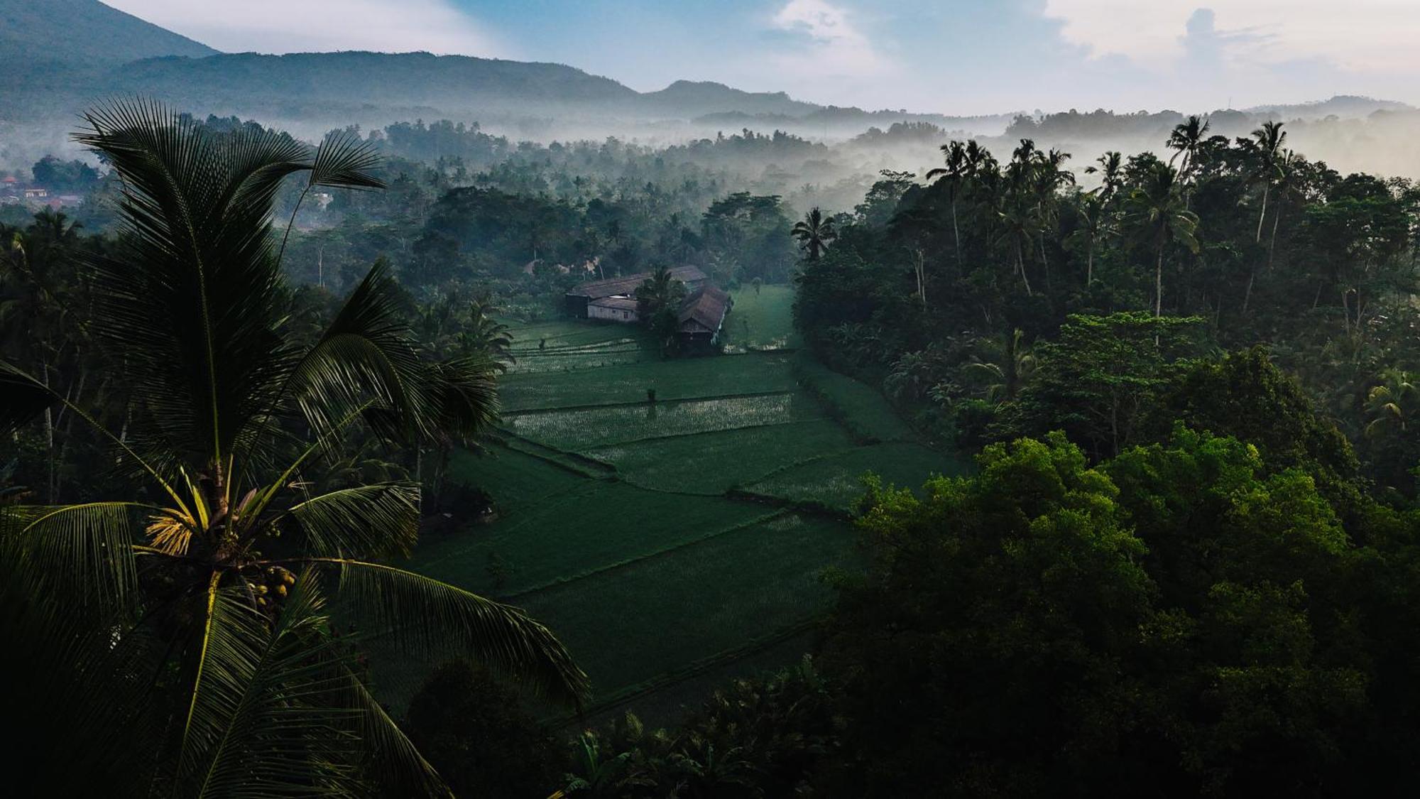 Villa Arcada Bali Bamboo House Sidemen  Esterno foto